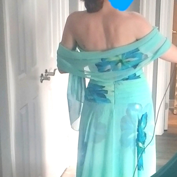 Prom / Pageant Dress - Picture 4 of 4
